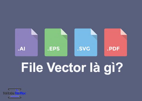 file-vector-la-gi-1