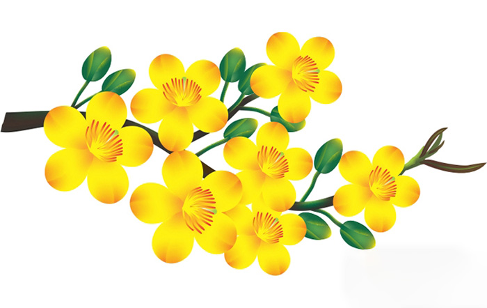 Top 60 Hình nền hoa mai đẹp, Full HD siêu chất 2021 43 | Hình nền hoa, Hoa  đạo, Sơn dầu