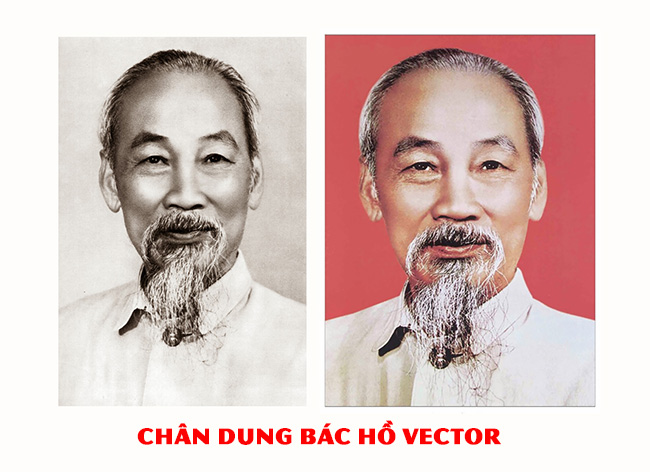 chan-dung-bac-ho-vector